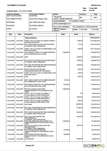 Modèle Word et PDF de relevé de compte de la banque CSB en Inde